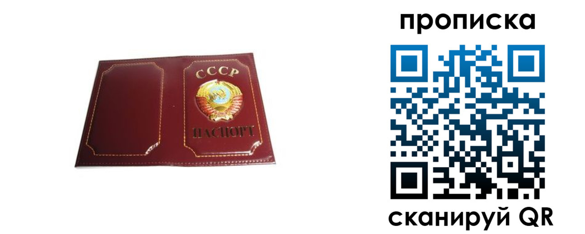 прописка гарантия в Клинцах